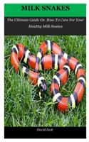 Milk Snakes: The Ultimate Guide On How To Care For Your Healthy Milk Snakes