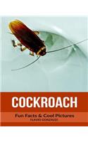 Cockroach: Fun Facts & Cool Pictures