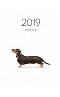 2019 Dachshund: Dated Weekly Planner with to Do Notes & Dog Quotes - Black & Tan Dachshund