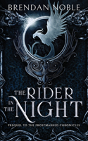 Rider in the Night