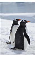 Two Gentoo Penguins in the Snow Journal