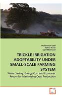 Trickle Irrigation Adoptability Under Small-Scale Farming System