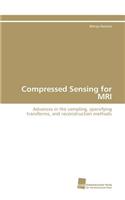 Compressed Sensing for MRI