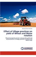 Effect of Tillage Practices on Yield of Wheat and Maize Rotation