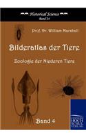 Bilderatlas der Tiere (Band 4): Zoologie Der Niederen Tiere