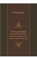 First Latin Steps Or an introduction, by a series of examples, to the study of the latin language