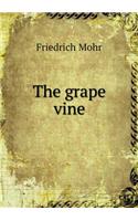 The grape vine