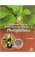 Diagnostic Tools For Identification And Detection Of Phytophthora