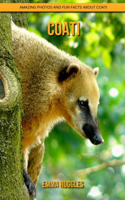 Coati: Amazing Photos and Fun Facts about Coati