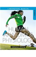 Human Anatomy & Physiology Laboratory Manual