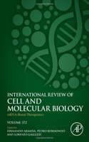 Mrna-Based Therapeutics
