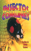 Insectos Comunes