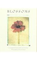 Deluxe Notecards Blossoms