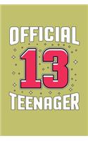 Official 13 Teenager