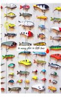 so many flies so little time