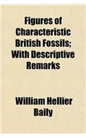 Figures of Characteristic British Fossils; With Descriptive Remarks
