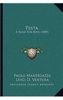 Testa