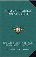 Animals In Social Captivity (1914)