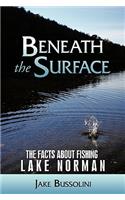 Beneath the Surface
