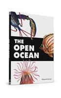 The Open Ocean