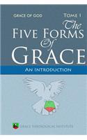 The Five Forms of Grace: An Introduction(English)