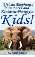 African Elephants Fun Facts and Fantastic Photos for Kids!