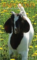 Baby Goats Journal Diary (Notebook)