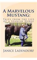 A Marvelous Mustang