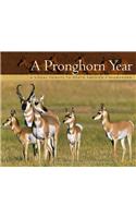 Pronghorn Year