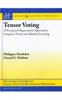 Tensor Voting