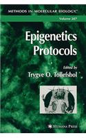 Epigenetics Protocols