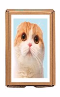 Waffles the Cat Greengift-Notes