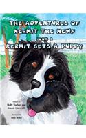 Adv of Kermit the Newf