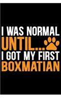 I Was Normal Until I Got My First Boxmatian