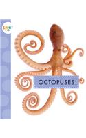 Octopuses