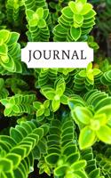 Journal