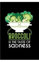 Broccoli Is The Taste Of Sadness: Lined A5 Notebook for Chemistry Journal