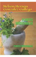 Plantes Médicinales