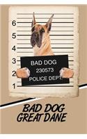 Bad Dog Great Dane