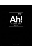 Ah! the Element of Surprise: Accounts Journal(381 Accounts Journal)