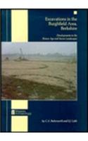 Excavations in the Burghfield Area, Berkshire