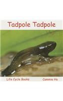 Tadpole Tadpole