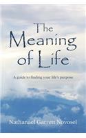 Meaning of Life: A guide to finding your life's purpose