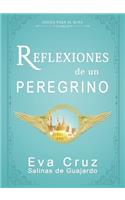 Reflexiones de un peregrino