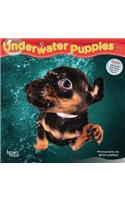 Underwater Puppies 2020 Mini 7x7