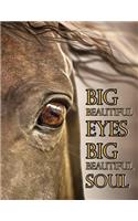 Big Beautiful Eyes Big Beautiful Soul: Journal, Diary, Notebook, Daily Planner, 185 Lined Pages, Large Size Book 8 1/2" X 11"