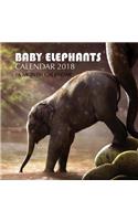 Baby Elephants Calendar 2018