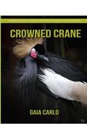 Crowned Crane