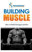 Building Muscle: How to Build Strength and Size