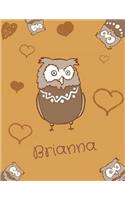 Brianna: Personalized Brianna name owl themed notebook, sketchbook or blank book journal. Unique owl personalised notepad. cute owl journals.